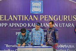 Askrin dogandeng Apindo memperkuat ekosistem usaha di Kalimantan Utara