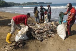 Aksi bersih pantai di Sidem Tulungagung