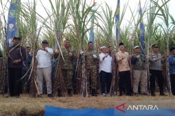 Pemprov Jabar: Majalengka jadi produsen tebu unggulan