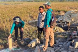 BBRMP Maluku optimistis irigasi perpompaan tingkatkan produktivitas