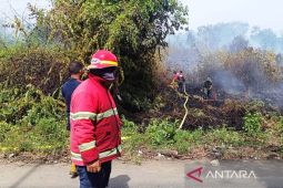 BPBD Aceh Barat kerahkan petugas padamkan kebakaran lahan di Gunong Kleng