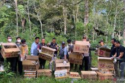 977 burung hasil sitaan petugas gabungan di Bakauheni dilepasliarkan