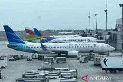 InJourney perkuat konektivitas udara di ASEAN-China lewat ACWG-RASA