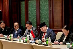 Airlangga ajak perusahaan China investasi proyek PLTS 100 GW