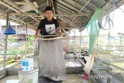 Pemprov Kaltim sokongan pakan ikan  guna jamin kelangsungan usaha pembudidaya
