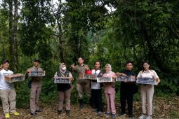 Penyelundupan ratusan burung liar dari Bali digagalkan di Ketapang