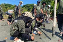 Lestarikan lingkungan, BPMA dan Medco tanam 1.000 mangrove di pesisir Banda Aceh