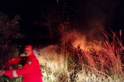 Damkar Belitung berhasil padamkan kebakaran lahan di kawasan perumahan
