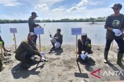 Kolaborasi Pemerintah Aceh, BPMA, dan Medco tanam 1.000 mangrove