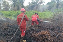 Manggala Agni padamkan tiga hektare karhutla di Nagan Raya