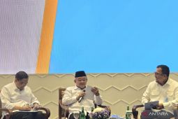Mendikdasmen: Sekolah Nasional Terintegrasi belum diterapkan untuk SD