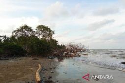 Aceh Timur minta pemprov bantu tangani pendangkalan muara