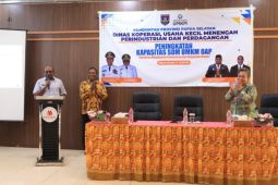 Pemprov Papua Selatan dorong UMKM mampu berinovasi