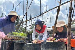 Kisah Chaidir Saleh, beri "sentuhan" manisnya melon premium untuk petani milenial