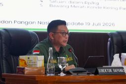 Bapanas minta pemda waspadai gejolak harga pangan