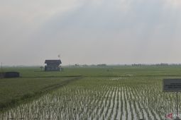 Kabupaten Bandung Barat perkuat efektivitas irigasi guna jaga produksi padi saat kemarau