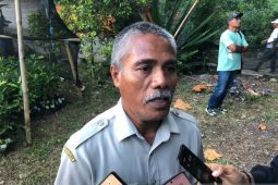 BPP Leihitu Barat dampingi petani kembangkan pala