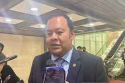 Komisi XI: PFII peluang RI tangkap momentum perpindahan modal global