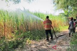 Damkar Magetan minta warga waspadai potensi karhutla saat kemarau