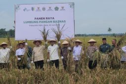 Panen Raya Lumbung Pangan BAZNAS, Petani Batu Bara kini tak lagi bergantung pada rentenir