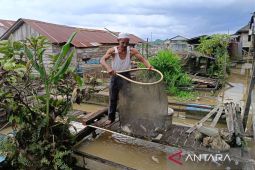 DKP Kaltim jamin mutu benih ikan unggul guna kemajuan pembudidaya lokal