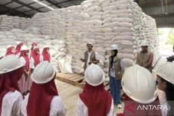 Bulog Jambi kuasai 10.955 ton CBP cukup untuk empat bulan