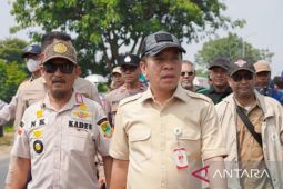 Pemkab Karawang tertibkan ratusan bangunan liar di sekitar Rengasdengklok