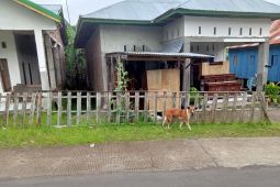 PPA: Kasus kekerasan terhadap perempuan dan anak di Sulsel ibarat gunung es