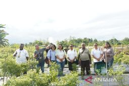 Mimika siapkan Koperasi Talenta Papua jadi pusat pelatihan kerja