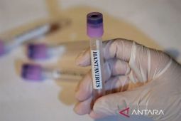 Venezuela konfirmasi tiga kematian akibat hantavirus