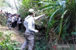 Perhutani bangun ilaran guna mitigasi karhutla di lereng Gunung Lawu
