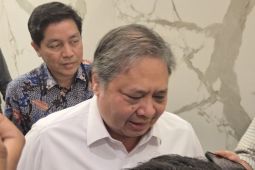 Menko Airlangga menyebut ada 4 negara dikecualikan dari aturan DHE SDA