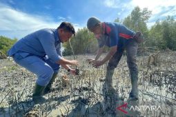 Pemenang IN-Journal Chapter II, Inalum dorong jurnalisme lingkungan