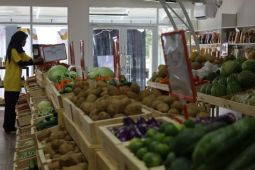 Pemkab Kuningan hadirkan fasilitas Rumah Sayur untuk pangkas rantai distribusi