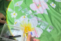 Polres Tabalong ciduk warga Tanta Hulu simpan 4,08 gram sabu