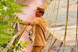 Pemkab Aceh Barat percepat perbaikan jembatan gantung di lintasan Jambak-Canggai