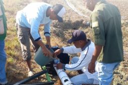 BPMP Maluku mulai penanaman perdana program PM-AAS di Seram Barat
