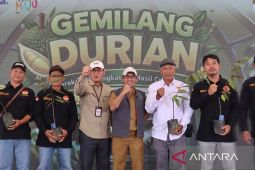 Pemprov Kaltim pacu daya saing durian lokal tembus pasar global