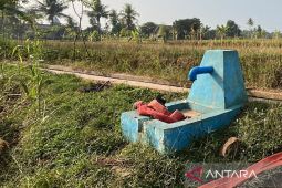 DTPHP Cianjur prioritaskan penanganan dan mitigasi kekeringan dampak kemarau
