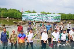 DLH Kaltim gencarkan rehabilitasi mangrove di Kukar dan Balikpapan
