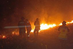 Karhutla di Pantai Lunci Sukamara hanguskan 30 hektare lahan