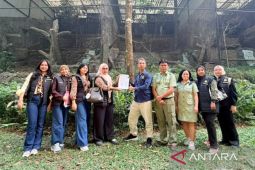 Kejari Bogor serahkan elang hasil sitaan ke BKSDA untuk dilepasliarkan