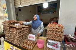 Harga telur di Gorontalo naik jelang tradisi Walima Maulid Nabi