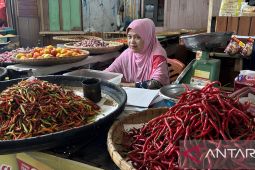 Panen raya turunkan harga rempah di Gorontalo saat musim kemarau