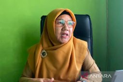 Pemkab Seluma gencarkan pencegahan DBD melalui fogging
