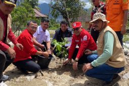 PMI Agam tanam ratusan bibit produktif di lokasi banjir bandang
