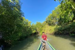 Penegakan hukum perkuat perlindungan kawasan hutan