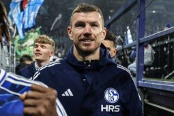 Penyerang veteran Edin Dzeko perpanjangan kontrak Schalke