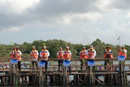 Bali perluas hutan mangrove lewat gerakan penanaman rutin