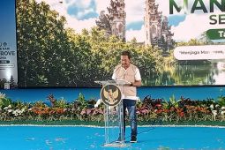 Menteri KKP minta perluas upaya rehabilitasi mangrove